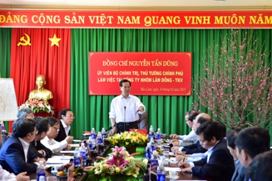 Thủ tướng: Rà soát quy hoạch phát triển cây mắc ca