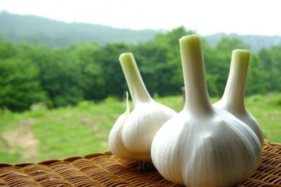 Những sai lầm chết người khi ăn tỏi