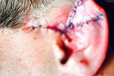 Tin tức pháp luật mới nhất 24h hôm nay ngày 13/2