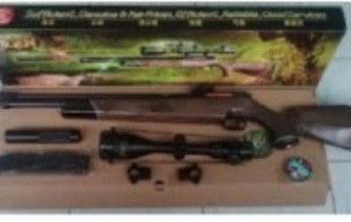 Ngăn chặn kịp thời kiện hàng chứa súng hơi chuẩn bị đưa lên máy bay