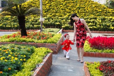 Chọn ngày khai trương đầu năm 2015 cho người tuổi Hợi