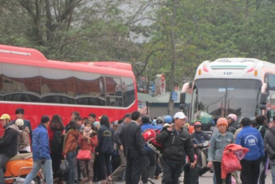 400 cuộc gọi tố cáo nhà xe ‘chặt chém’, nhồi khách