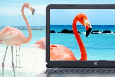 Laptop HP giá rẻ mỏng nhẹ ấn tượng đầu năm Ất Mùi