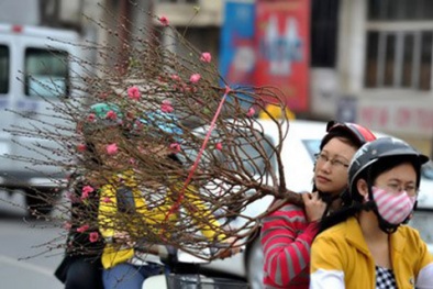 Dự báo thời tiết hôm nay ngày 30 Tết: Miền Bắc nắng ấm, có sương mù nhẹ vào sáng sớm