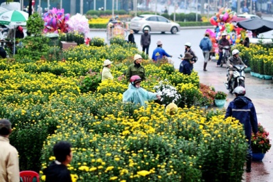 Dự báo thời tiết ngày mai mùng 1 Tết: Miền Bắc sáng sớm có sương mù, trời rét