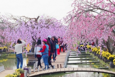 Dự báo thời tiết ngày mai mùng 2 Tết: Miền Bắc có mưa nhỏ, Nam Bộ trời nắng ráo