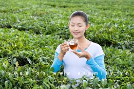 Nguy hiểm với những thói quen uống chè sai lầm