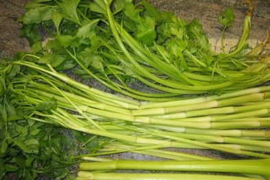 Những bài thuốc quý từ rau cần