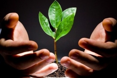 Chính phủ sắp lập quỹ đầu tư lớn hỗ trợ doanh nghiệp khởi nghiệp