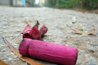 Đình chỉ 2 cán bộ phường vì để xảy ra nổ pháo ở Quảng Ninh