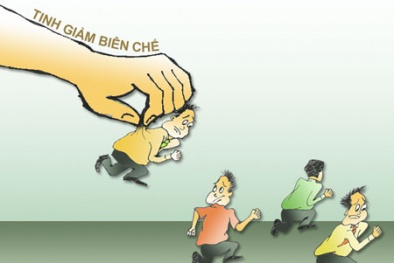 Nhiều đơn vị sự nghiệp sẽ phải giảm biên chế