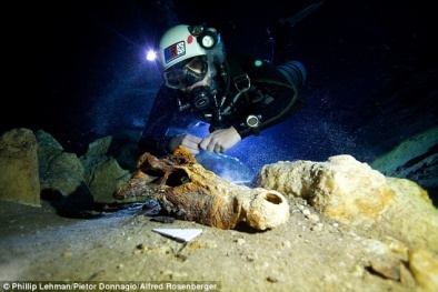 Hàng loạt hóa thạch dưới nước mới được khai quật