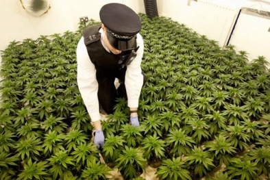 Nhiều trẻ em Việt hết bị ép làm nô lệ lại bị kết án tù tại Anh