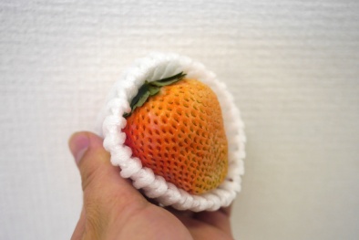 Những phép lai tạo thực vật độc đáo trên thế giới