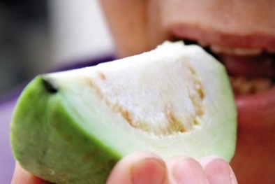 Khám phá công hiệu chữa bệnh ung thư của ổi 