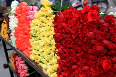 Gợi ý các mối nhập hoa tươi giá rẻ ngày 8/3 
