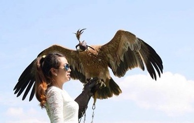 Nuôi chúa tể bầu trời: Thú chơi cũng lắm công phu