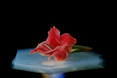 Khám phá siêu vật liệu Aerogel của tương lai