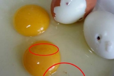 Lây truyền HIV qua trứng gà bị tiêm nhiễm vi rút là tin đồn thất thiệt