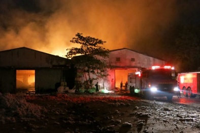 Diễn biến phức tạp đám cháy xưởng bông ở Bình Dương