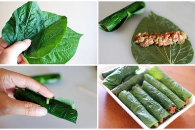 Khám phá công dụng trị bệnh hiệu quả nhờ lá lốt