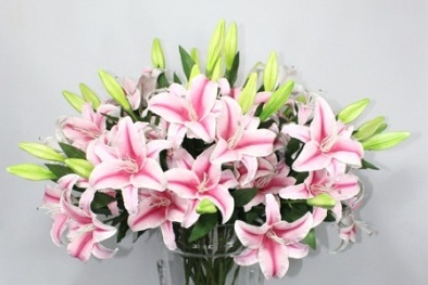 Tại sao nên cân nhắc khi mua hoa tươi về nhà?