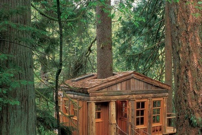 Ngắm những ngôi nhà 'lơ lửng' trên cây như trong truyện cổ tích 