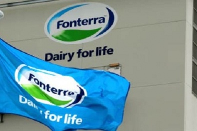 Nguyên nhân ngành sữa của New Zealand bị đe dọa bỏ độc