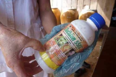 Điều tra cái chết của nữ sinh uống thuốc diệt cỏ trong nghĩa trang