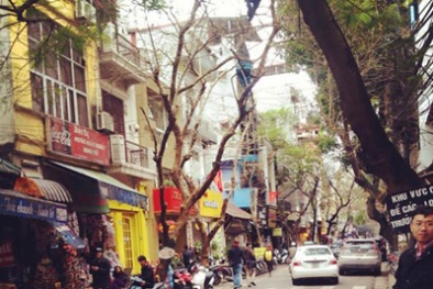 Dự báo thời tiết ngày mai 14/3/2015: Miền Bắc hửng nắng trong ngày Valentine trắng