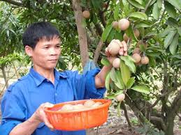 Công dụng làm đẹp và đảm bảo sức khỏe của hồng xiêm