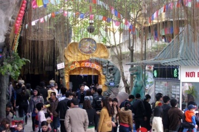 Nghỉ lễ dài ngày: Các hãng lữ hành mừng như 'bắt được vàng'