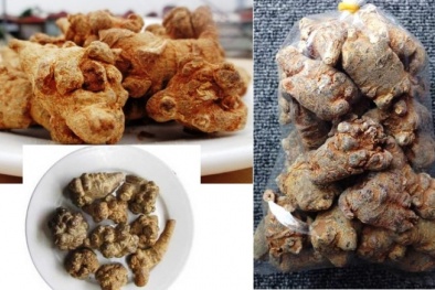 Mất tiền triệu mua tam thất giả, kém chất lượng