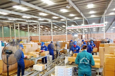 Tiền Giang: Hưởng ứng phong trào năng suất chất lượng với cả nước