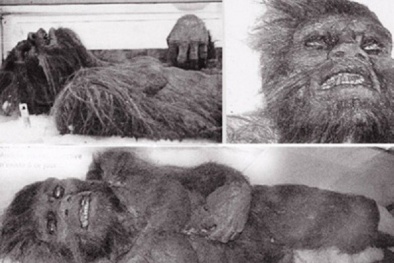 Bí ẩn Người Tuyết Yeti đã được khoa học giải mã