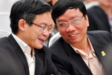 Chặt cây xanh Hà Nội: ‘Ông Trần Đăng Tuấn cũng là một người dân thôi’