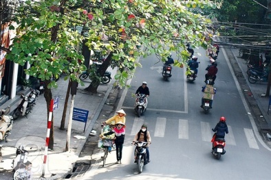 Dự báo thời tiết ngày mai 19/03/2015: Bắc Bộ tiếp tục đón thời tiết nắng ráo, nền nhiệt cao