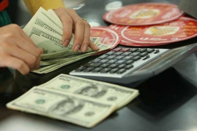Tỷ giá USD tăng vọt: ‘Không sợ dân rút tiền mua USD’
