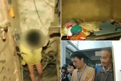 Trói con vào cột, bắt chơi với lợn vì không có thời gian chăm sóc