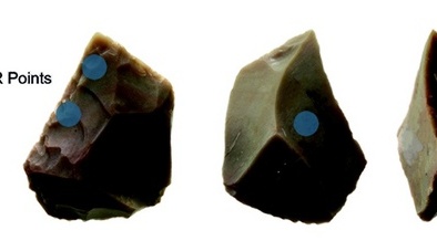 Vết tích cho thấy người cổ đại biết xẻ thịt voi từ nửa triệu năm trước