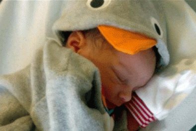 Bị chuột cắn, bé trai 6 tháng tuổi tử vong