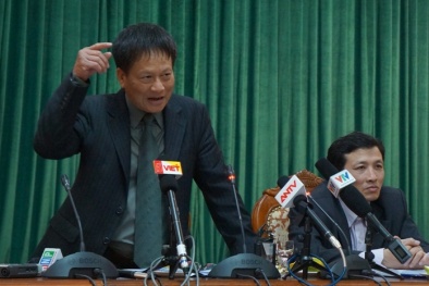 'Chưa thể khẳng định đề án chặt hạ cây xanh sai hay đúng’