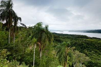 Phát hiện tàn tích căn cứ bí mật của phát xít Đức trong rừng rậm