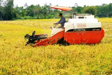 Ứng dụng công nghệ cao trong trồng lúa tại tỉnh An Giang