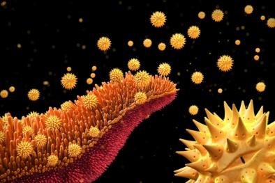 10 hình ảnh gây chấn động về thành tựu khoa học y tế đáng chú ý nhất năm 2015