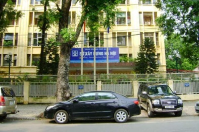 Chặt cây xanh Hà Nội: Sở Xây dựng nói làm gì có số tiền bán gỗ trăm tỉ