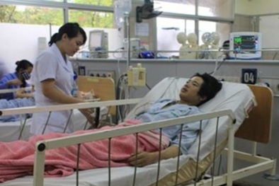 Ăn nấm độc, 5 người trong cùng một nhà thương vong