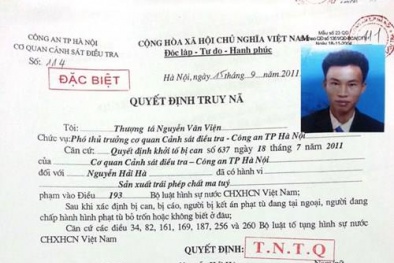 Trùm ma túy đá bị lộ tung tích vì trộm gỗ