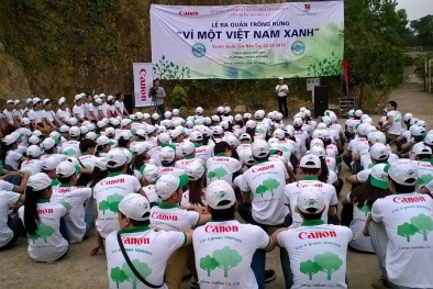 Chung tay trồng rừng và bảo vệ môi trường 'Vì một Việt Nam xanh'