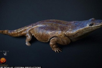 Phát hiện hóa thạch kỳ nhông khổng lồ ngang ngửa chiếc xe hơi